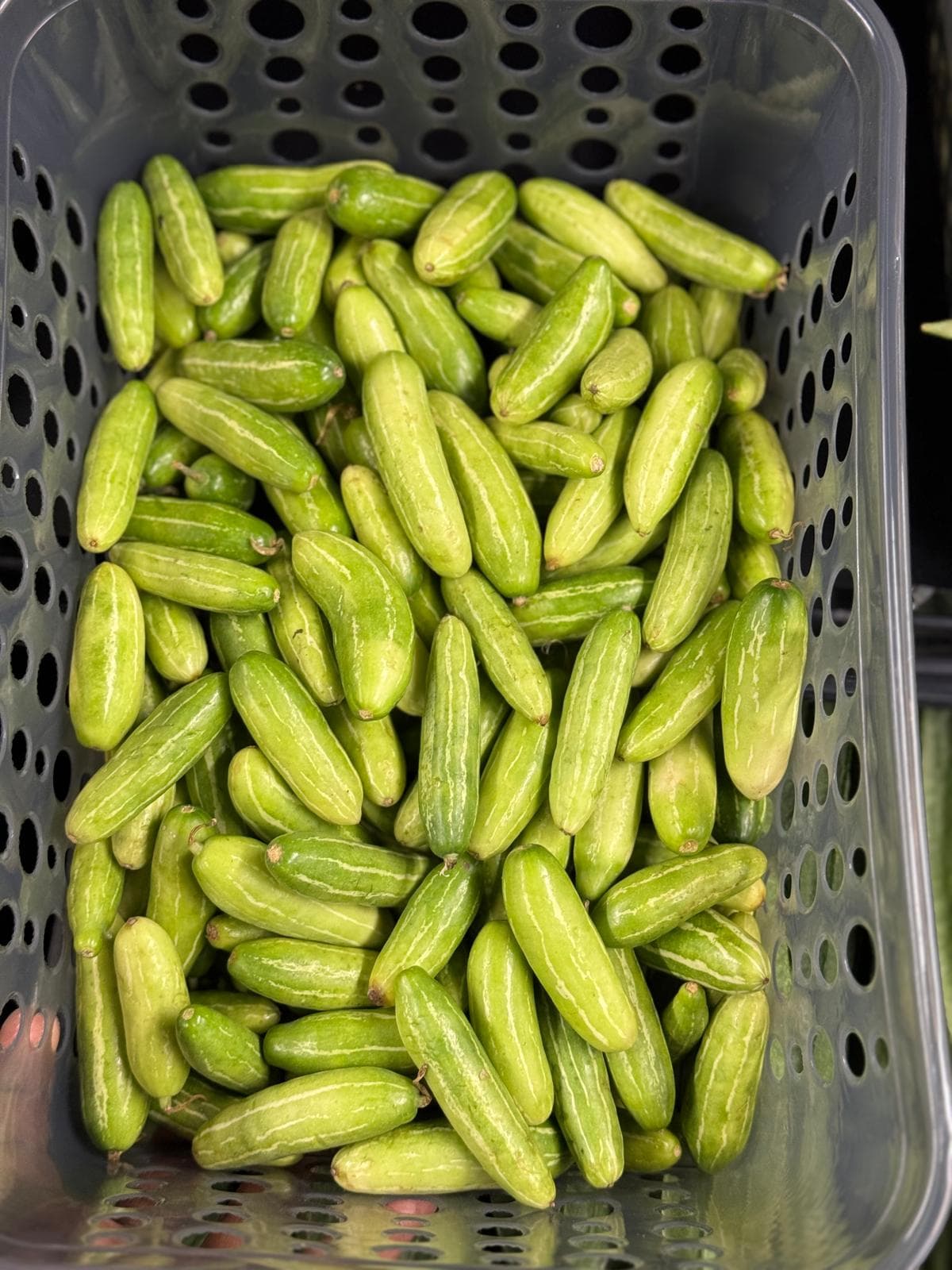 India Mart thumbnail 3