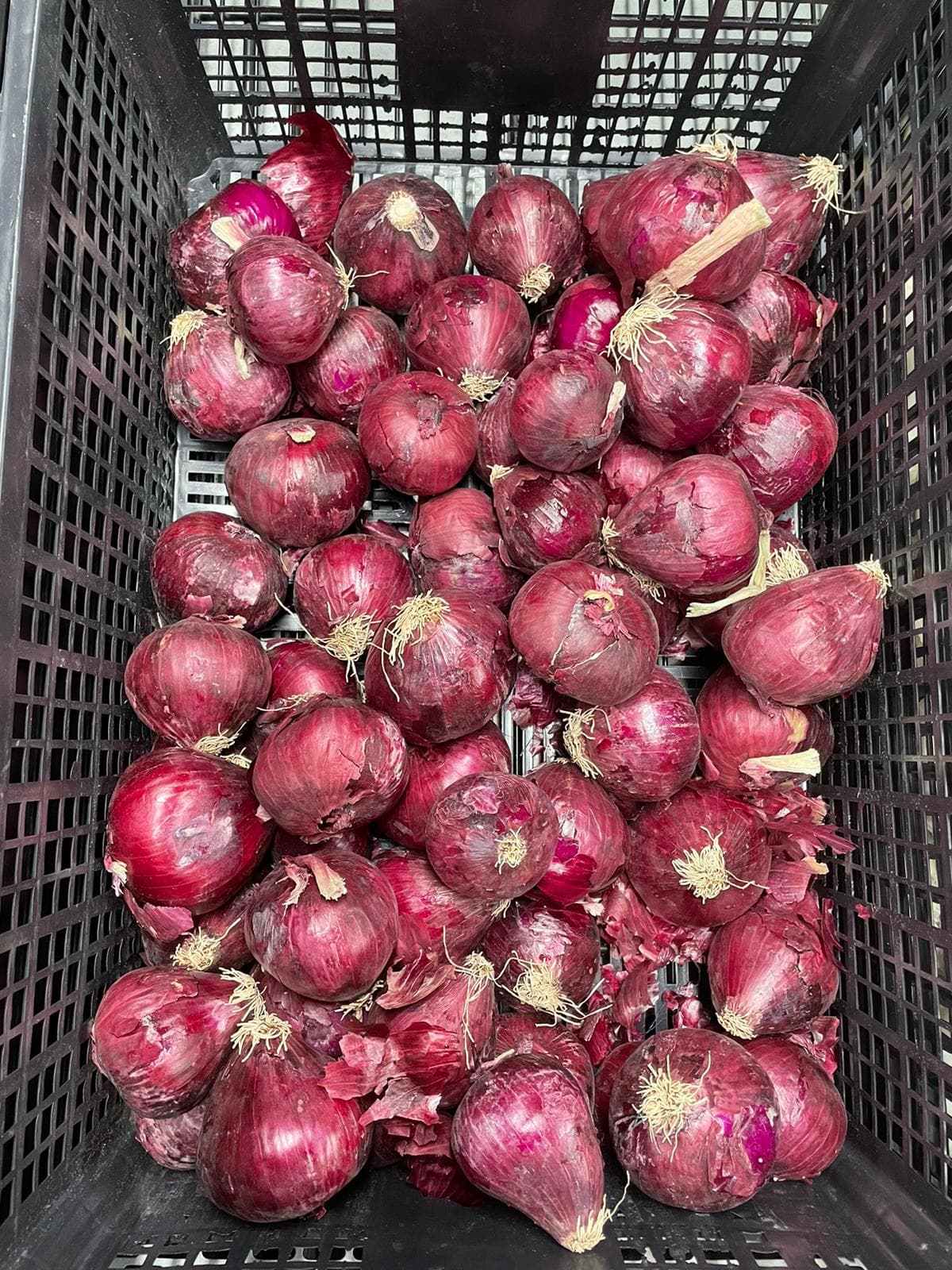 India Mart thumbnail 4